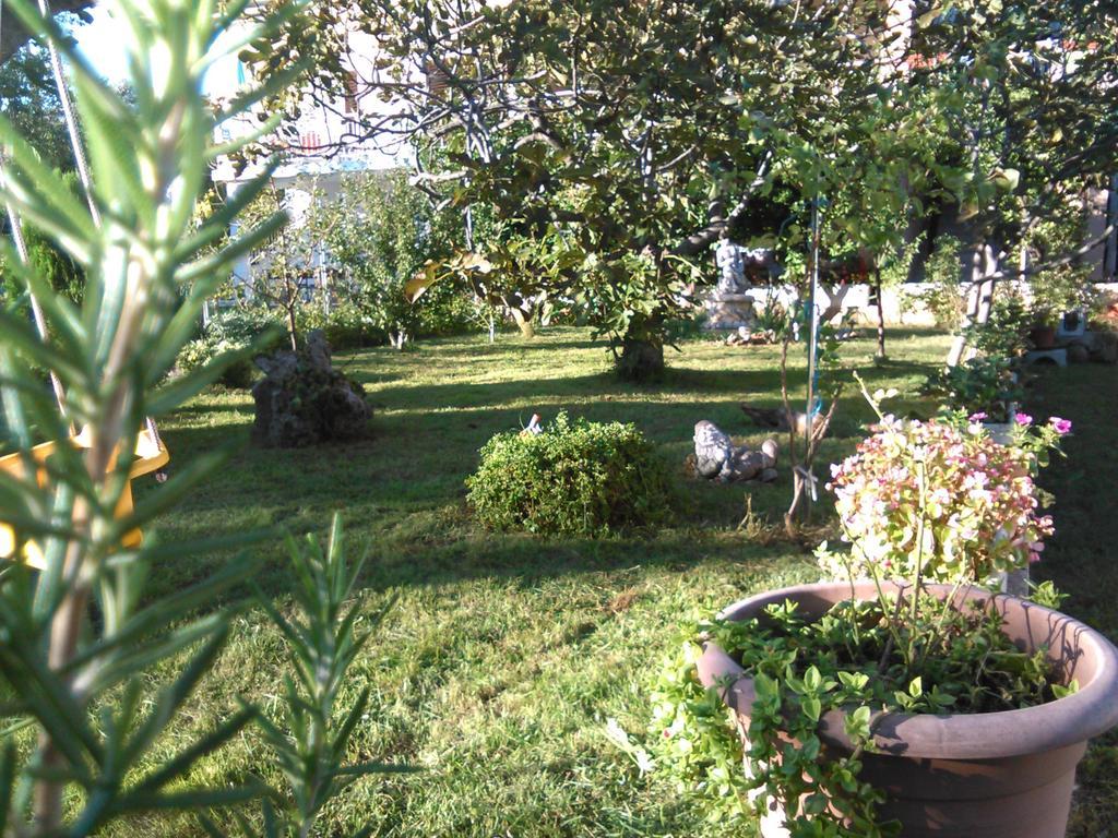 Apartments Lana Starigrad Paklenica Exterior photo