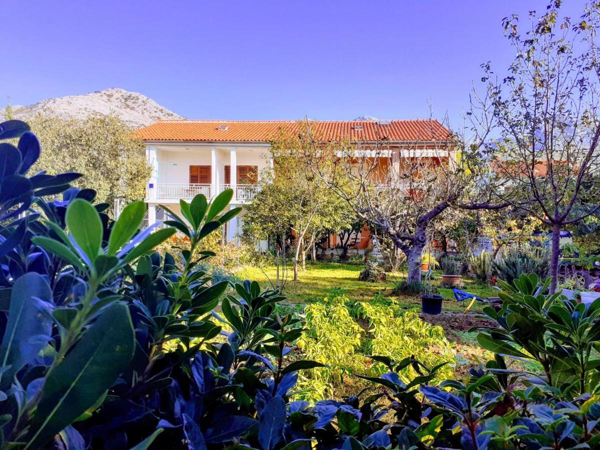 Apartments Lana Starigrad Paklenica Exterior photo